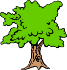 tree12.gif (3361 bytes)